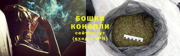 ПСИЛОЦИБИНОВЫЕ ГРИБЫ Верея