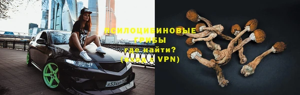 эйфоретик Козловка