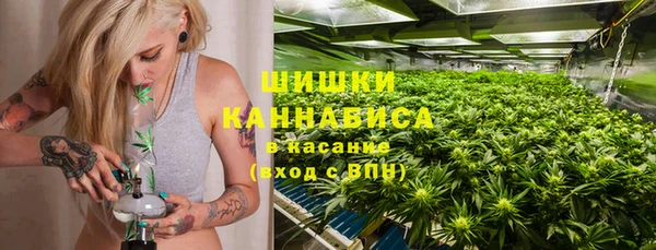 СК Кодинск