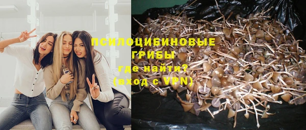 СК Кодинск