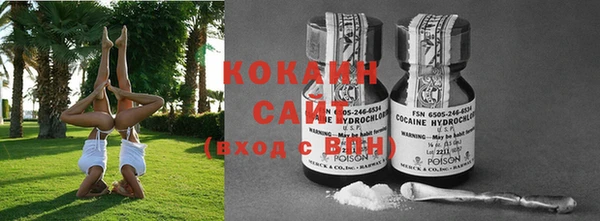 PSILOCYBIN Бородино