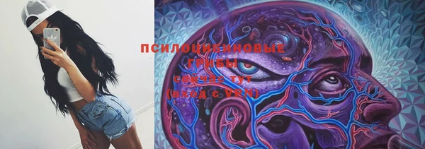 СК Кодинск
