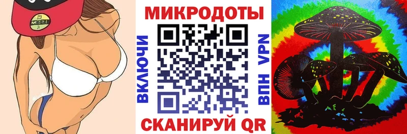 Галлюциногенные грибы Psilocybe Березники
