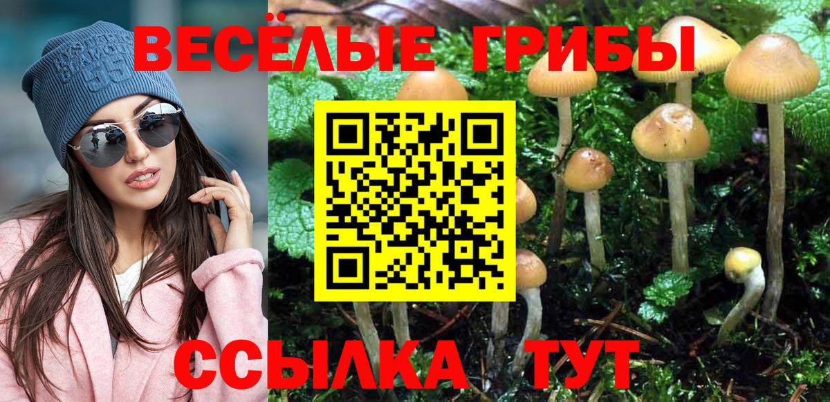 сколько стоит  Галлюциногенные грибы мухоморы  Вход с VPN  Березники 
