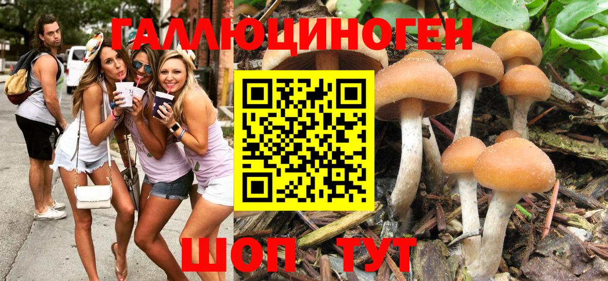 Галлюциногенные грибы Magic Shrooms Березники