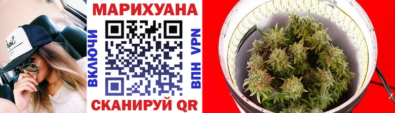 Конопля марихуана Березники